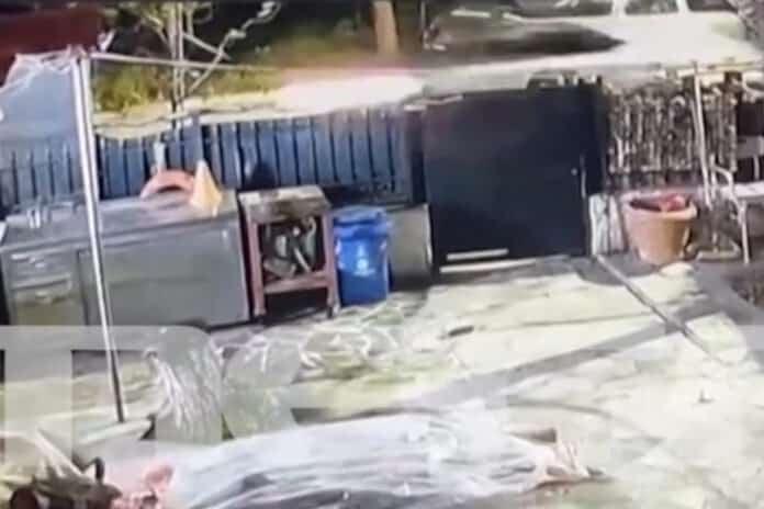 gios politikou nea erithraia 27 11 696x464 1