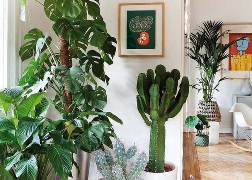 20220518 6285143265b57