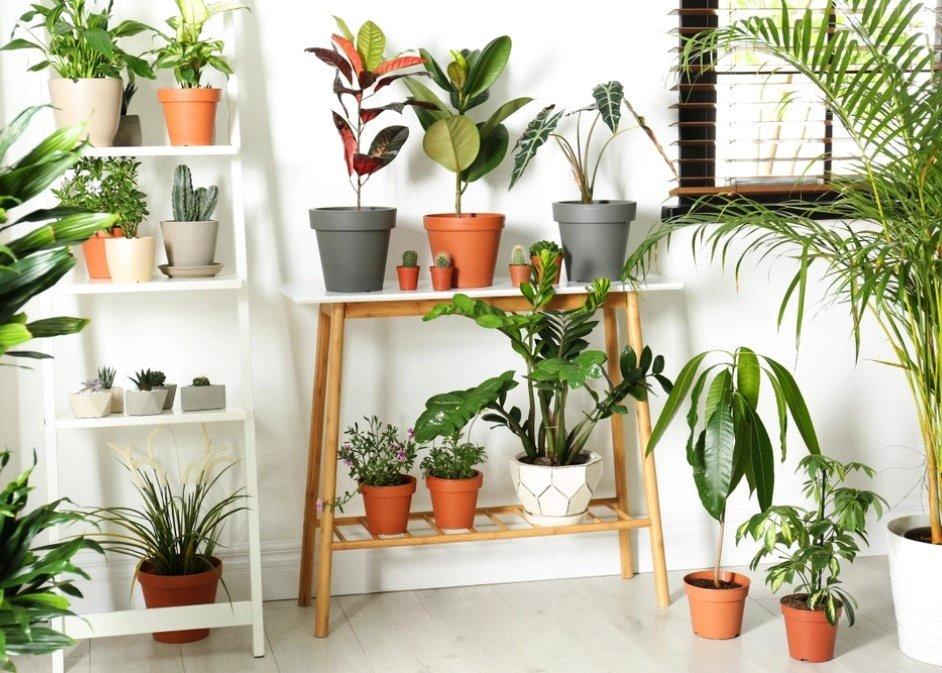 20220518 628514327d718