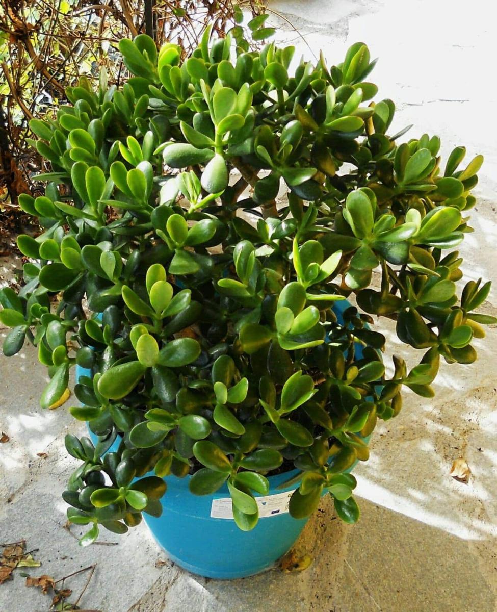 460291577 3450455038588195 2903002229704641672 n