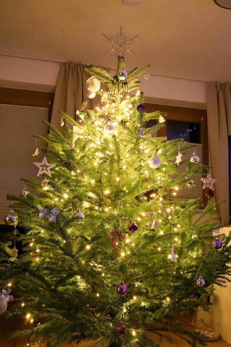 xristougenniatiko dentro khpouros 4