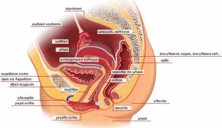 Όλα όσα πρέπει να ξέρετε για το υγρό που βγαίνει από 2 mitra0