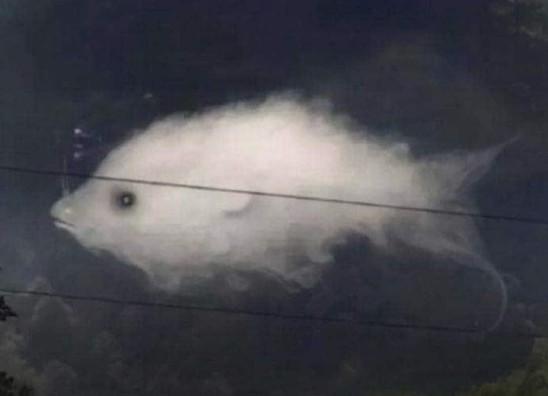 stigmiotypo othonis 2025 10 25 20.54.07