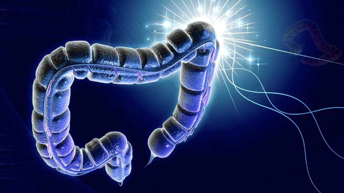 Σημάδια καρκίνου του παχέος εντέρου: Τα συμπτώματα που δεν πρέπει να αγνοήσετε 3 stigmiotypo othonis 2025 12 02 18.21.46