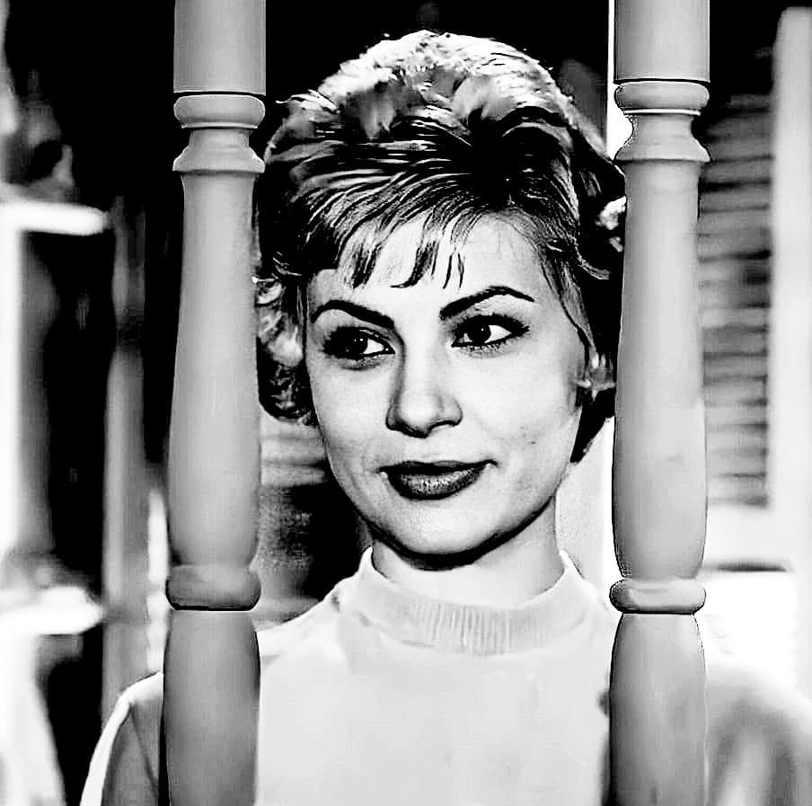 554931776 1259552369193444 4639908005539100996 n