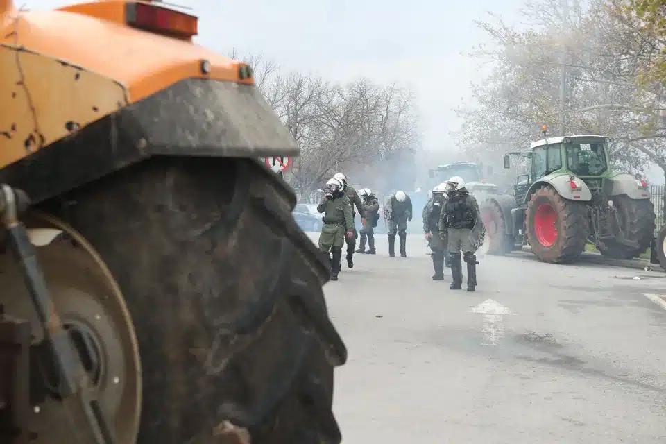 mat agrotes thessaloniki 1.jpg