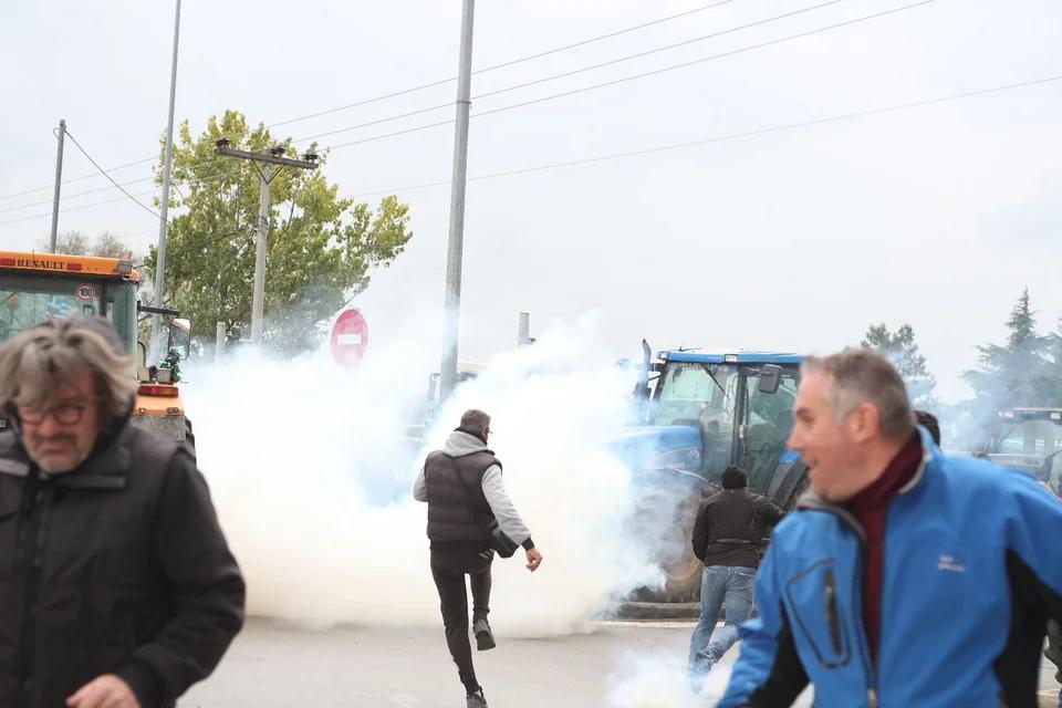 mat agrotes thessaloniki 2.jpg