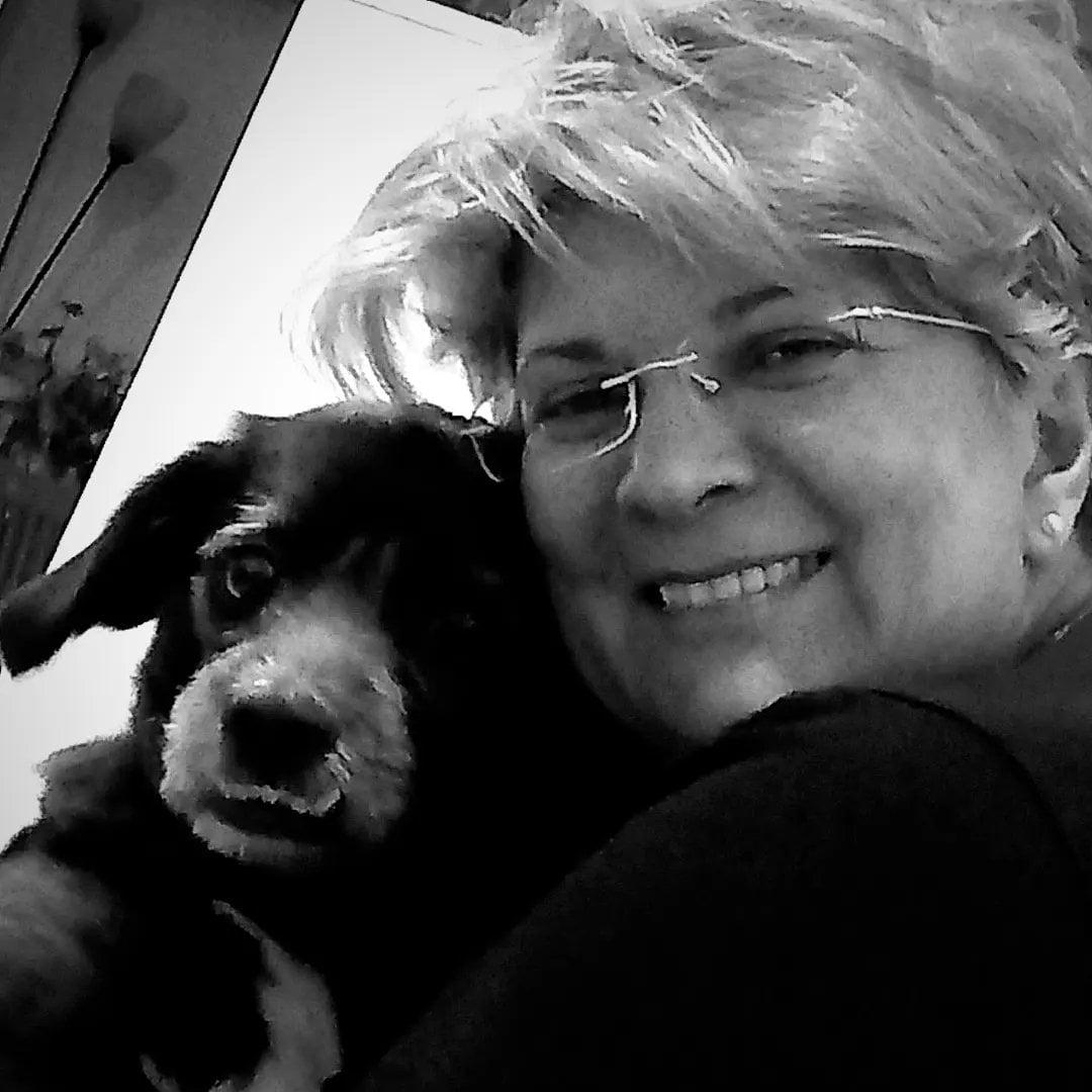 493365195 9576245462453656 413882792161412452 n