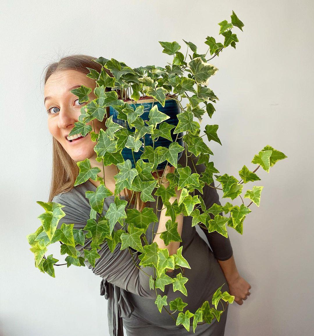 156249281 462085684978092 2315122824555844501 n