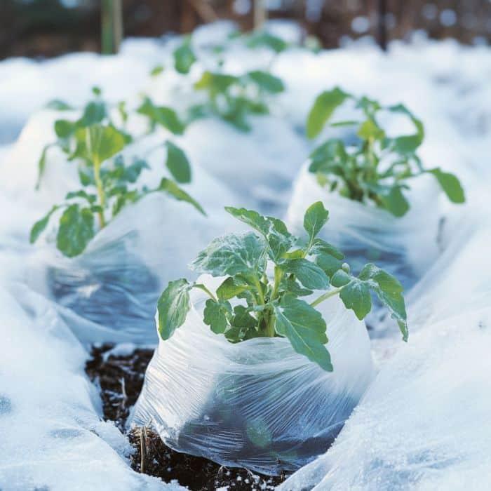 860559c7fbdd13740c598b733148b428