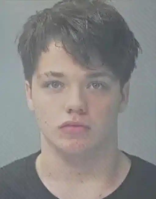 Φρικτή δολοφονία 14χρονης – Ανήλικοι την παρέσυραν στο δάσος, την πυροβόλησαν και την έκαψαν 4 www facebook com southsrnews posts 116907435