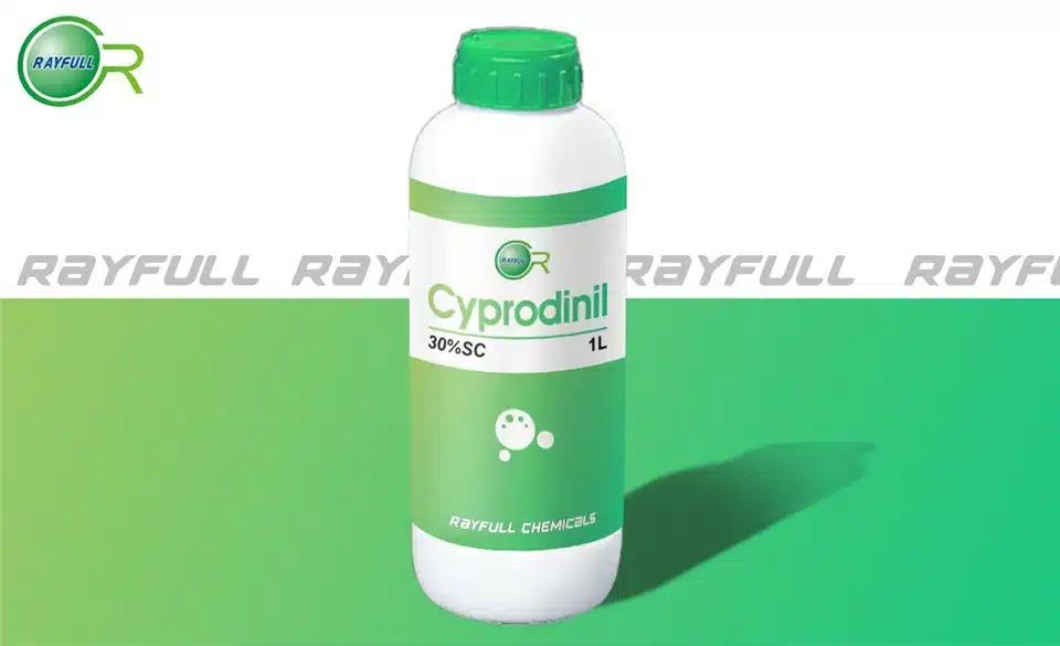 Μπλόκο σε πασίγνωστο ελληνικό φρούτο λόγω υπέρβασης ορίου φυτοφαρμάκου κατά 580% 3 cyprodinil25302249138