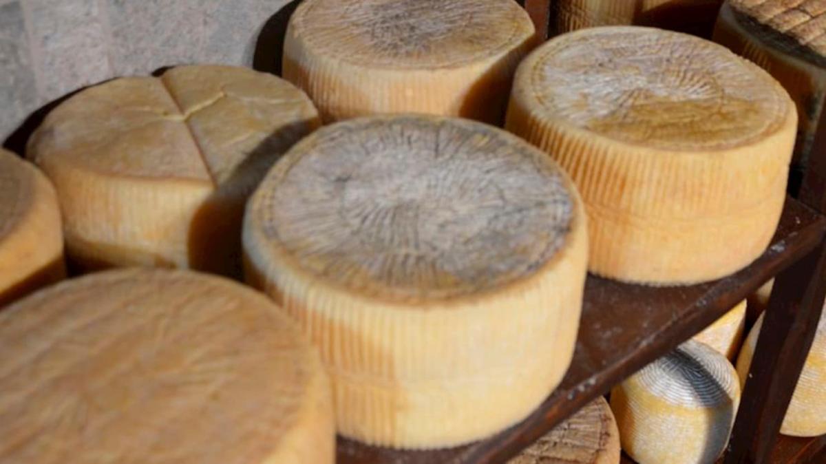 7c559eaa74194075b30fc060e0d0ce50