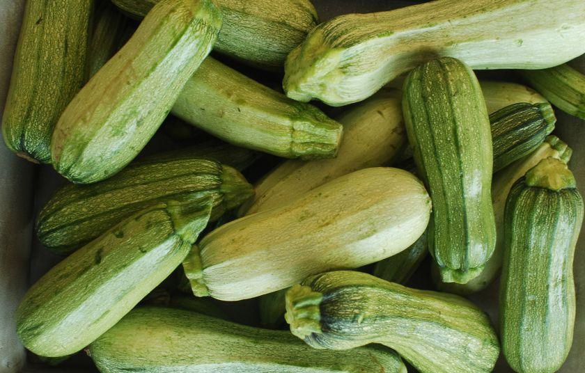 Φροντίζοντας την κρεατινίνη σας: Το λαχανικό που πολλοί ειδικοί συμπεριλαμβάνουν στη διατροφή 2 b kolokithia