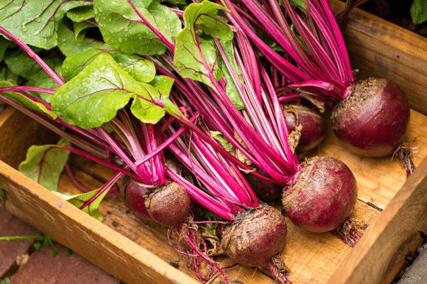 Φροντίζοντας την κρεατινίνη σας: Το λαχανικό που πολλοί ειδικοί συμπεριλαμβάνουν στη διατροφή 8 beets ntale 3