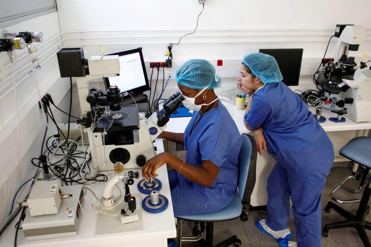 197 παιδιά γεννήθηκαν από σπέρμα δότη με καρκινικό γονίδιο – Χρησιμοποιήθηκε και στην Ελλάδα 2 Γιατροί παρακολουθούν σπέρμα να εγχέεται απευθείας στο ωάριο κατά τη διάρκεια εξωσωματικής γονιμοποίησης