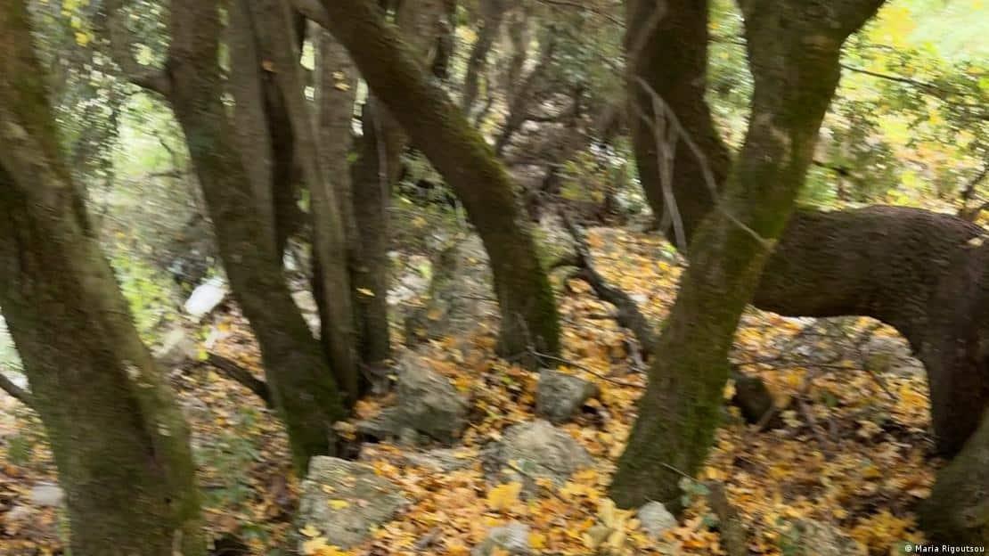 Σοκάρει ο κύριος Γιώργος: «Με απείλησαν ότι θα με φάνε οι αρκούδες και μου έφτιαξαν κηδειόχαρτο κολλημένο στο κέντρο του χωριού» 5 75065653 906