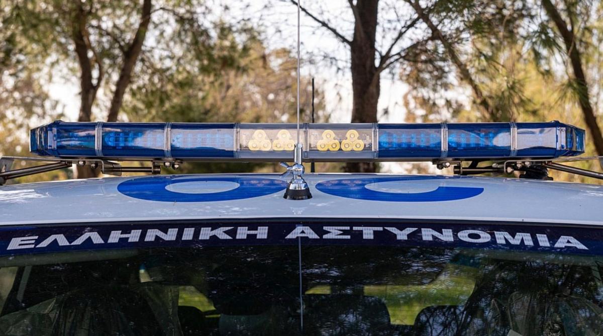 Φρίκη στην Πάτρα: 89χρονη σκότωσε κουτάβια – Της πέταξε πέτρα 25χρονος και τον χτύπησε στο κεφάλι με μεταλλικό αντικείμενο 2 stigmiotypo othonis 2025 12 11 16.43.01