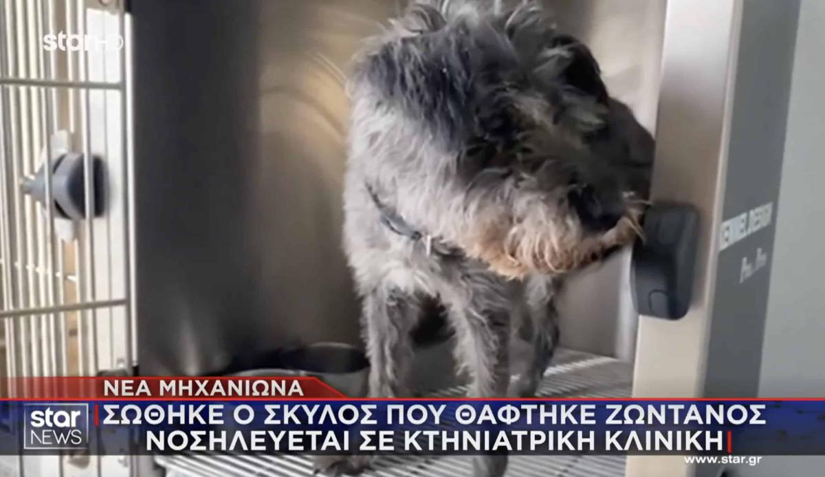 stigmiotypo othonis 2025 12 11 20.22.21 scaled