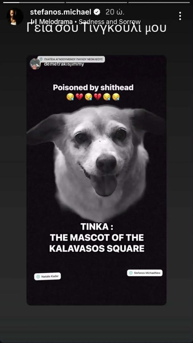 Στέφανος Μιχαήλ & Νάταλι Κάτερ – Έβαλαν φόλα στο σκυλάκι τους: «Υπάρχει Θεία Δίκη… Όλα θα βγουν στο φως» 1 stefanos michael story 2.jpg