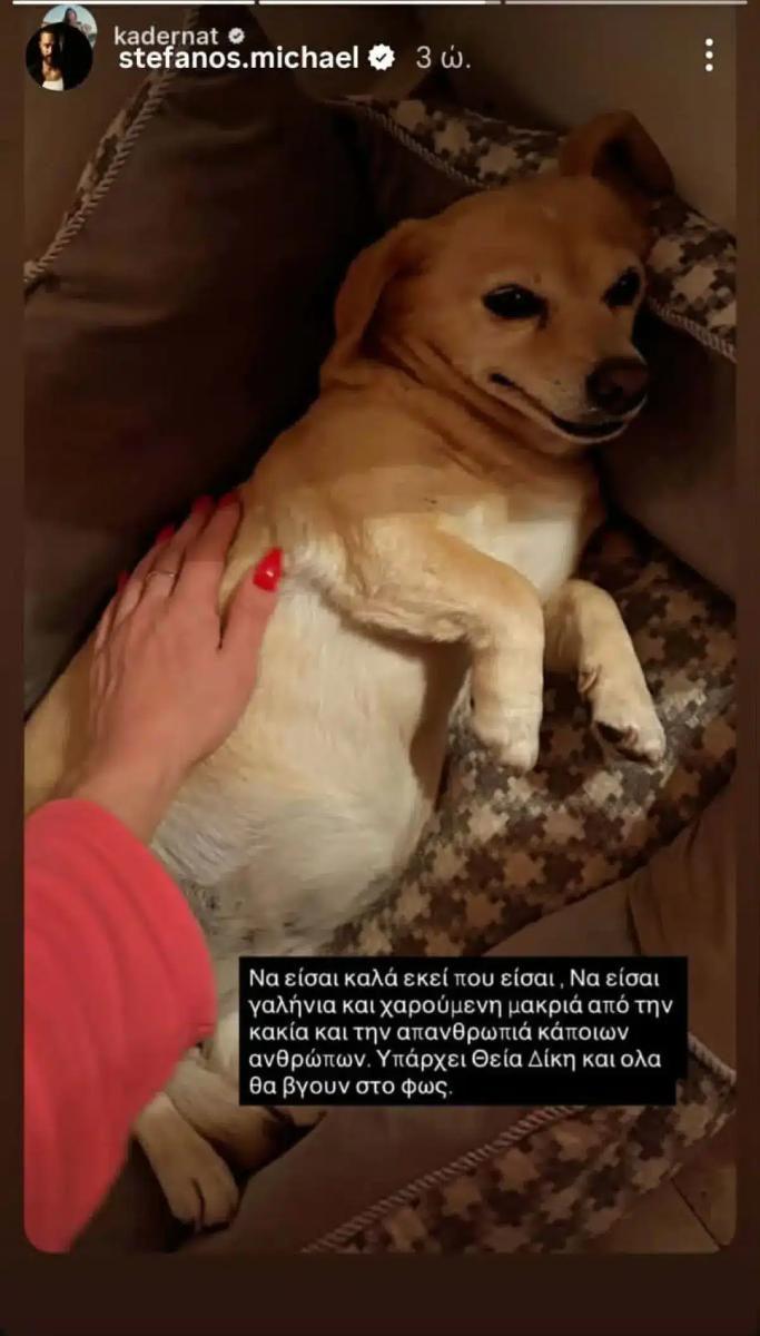 Στέφανος Μιχαήλ & Νάταλι Κάτερ – Έβαλαν φόλα στο σκυλάκι τους: «Υπάρχει Θεία Δίκη… Όλα θα βγουν στο φως» 2 stefanos michael story 1.jpg