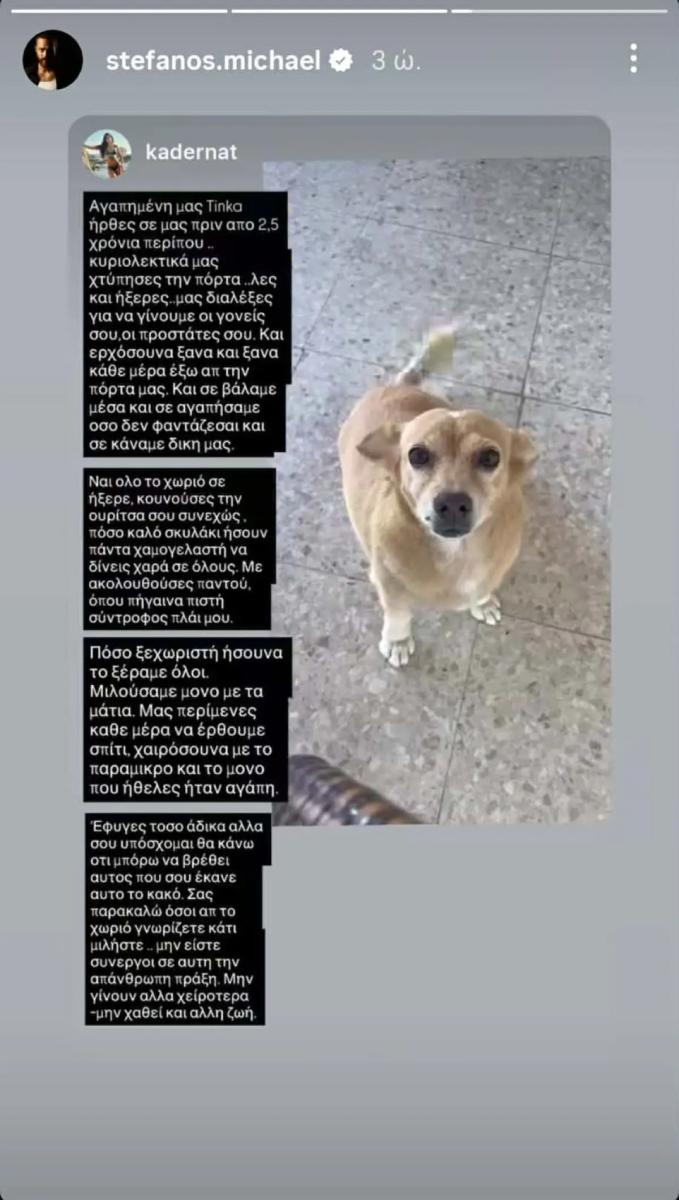 Στέφανος Μιχαήλ & Νάταλι Κάτερ – Έβαλαν φόλα στο σκυλάκι τους: «Υπάρχει Θεία Δίκη… Όλα θα βγουν στο φως» 3 stefanos michael story.jpg