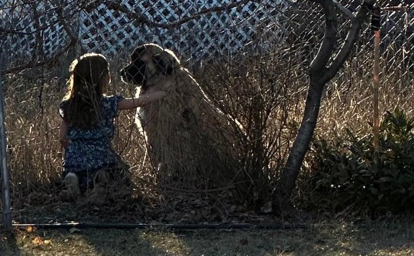 Τα ζώα είναι ό,τι μας απέμεινε από τον παράδεισο 2 stigmiotypo othonis 2025 09 08 16.12.48