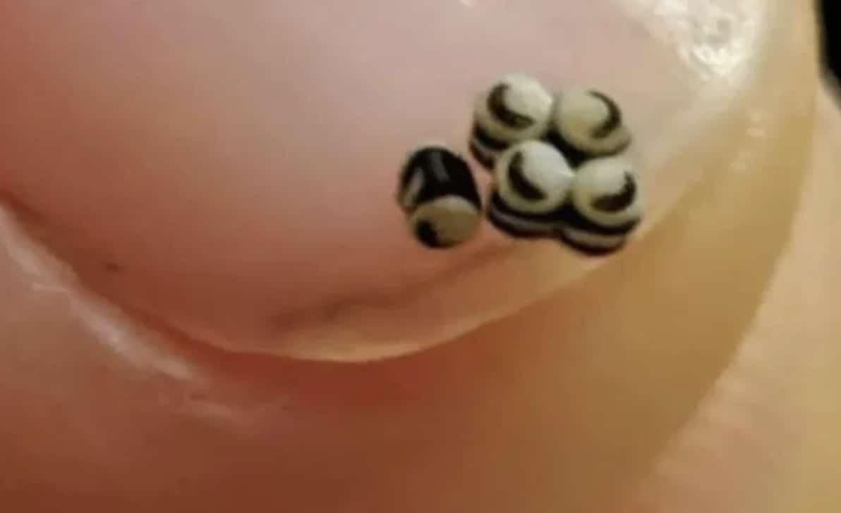 Παραγγείλαμε stigmiotypo