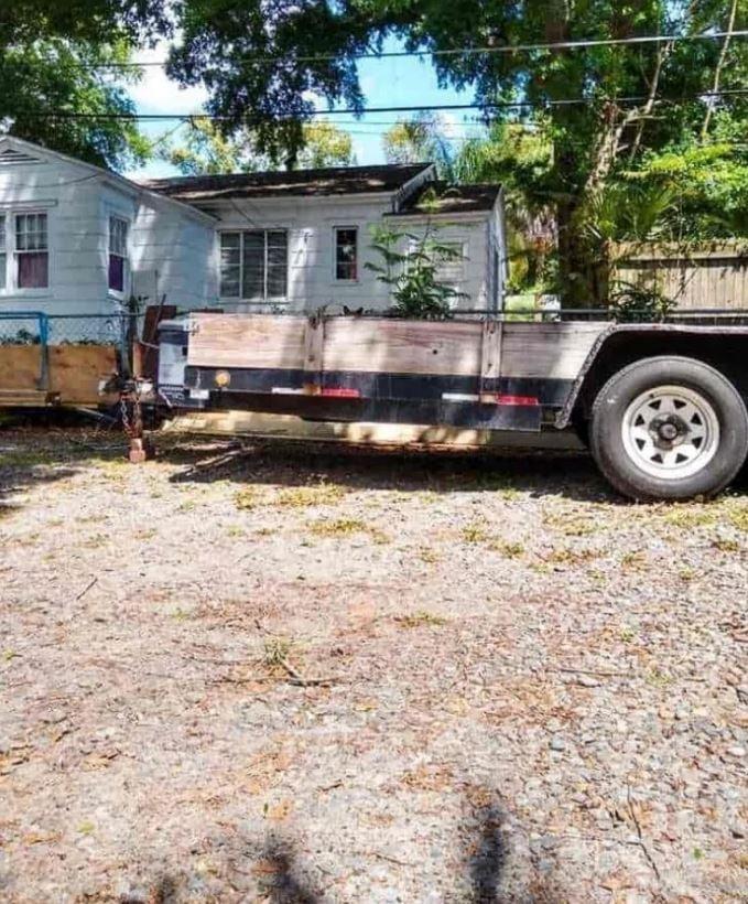 Οπτıκή ψευδαίσθηση: Μόνο αν έχεις υψnλό IQ μπορεiς να εντοπiσεις την γάτα σε 9 δευτερόλεπτα 1 optiki gata mesa