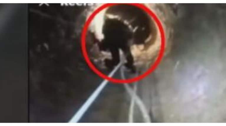 Λακωνία: 7b6795db6fb2461cb00c1f078d99061d