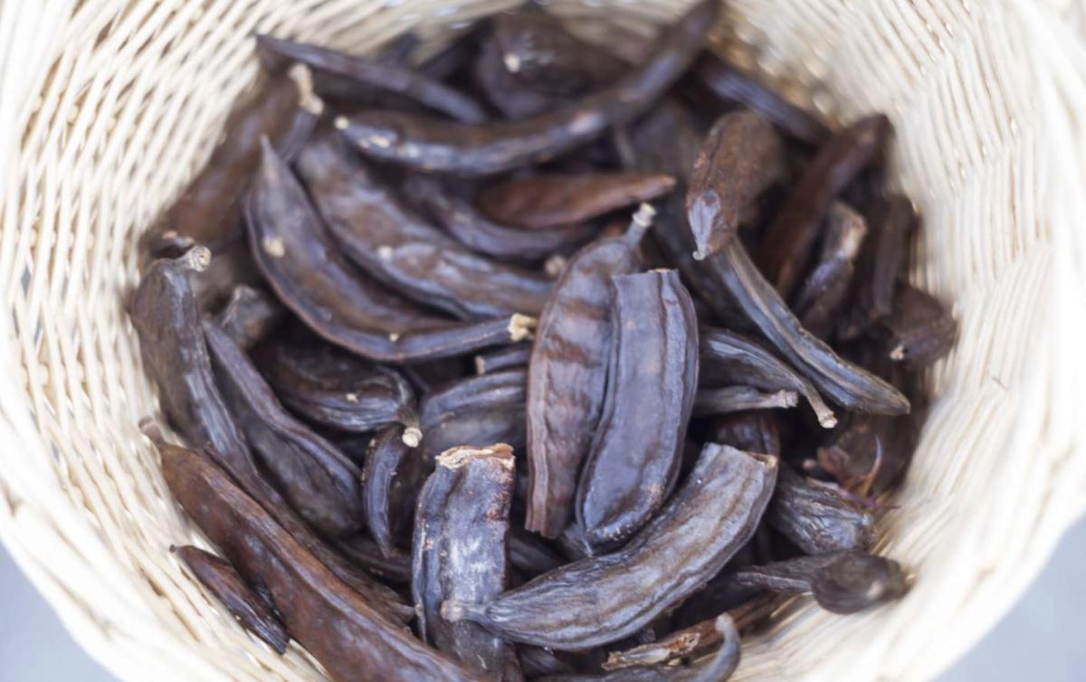 H υπερτροφή που έχει τριπλάσιο ασβέστιο από το γάλα 3 stigmiotypo othonis 2025 12 16 02.18.53