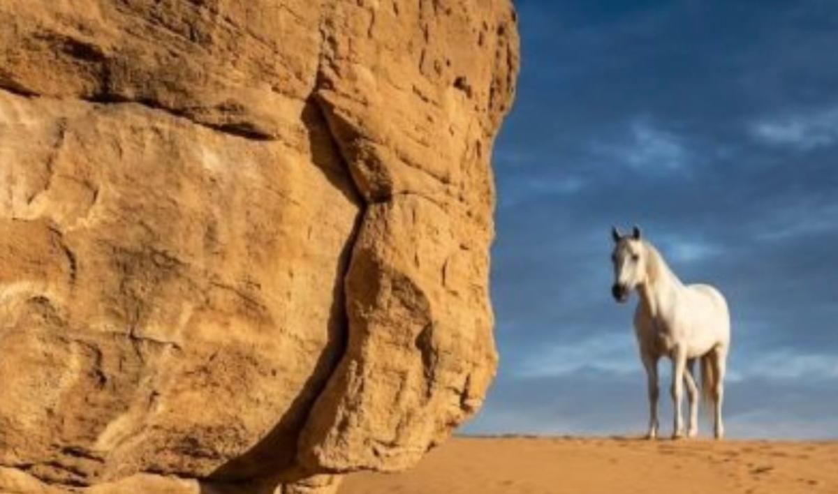 stigmiotypo othonis 2025 12 17 02.23.04