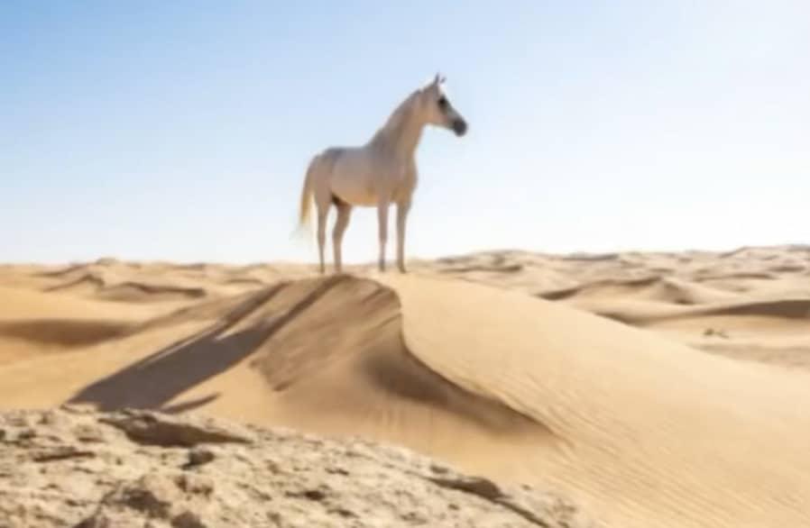 stigmiotypo othonis 2025 12 17 02.25.42