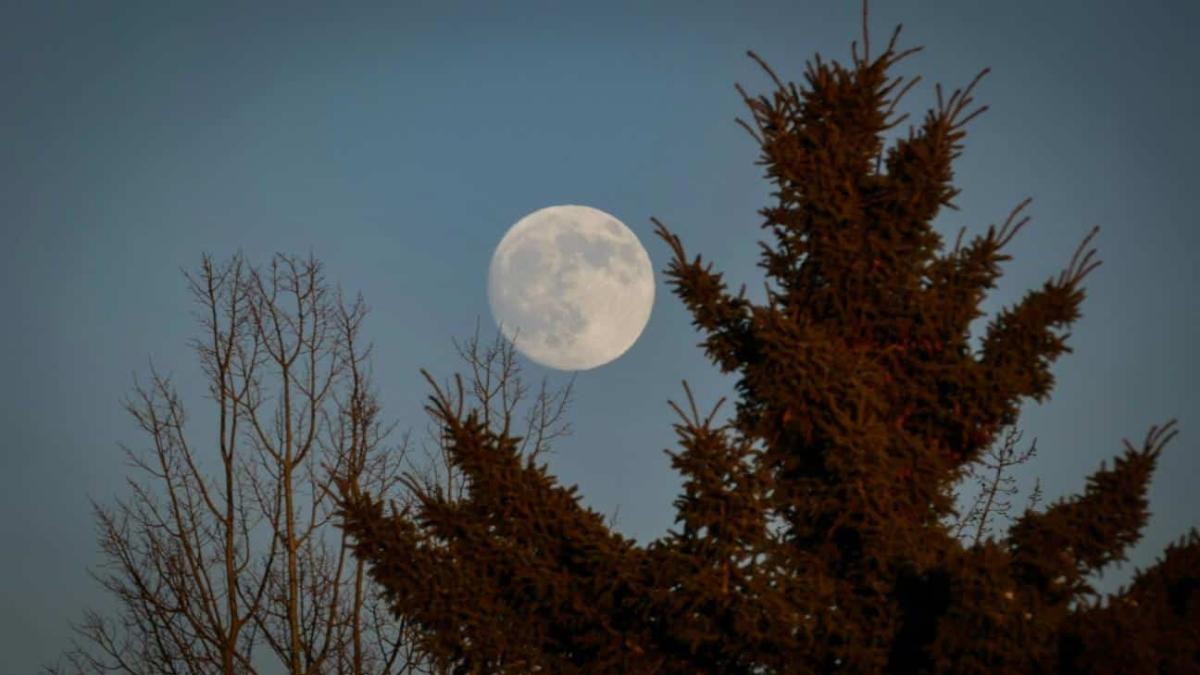 Το «Φεγγάρι του Λύκου» έρχεται στις 3 Ιανουαρίου - Η πρώτη πανσέληνος του 2026 επηρεάζει τρία ζώδια 1 zodia 1