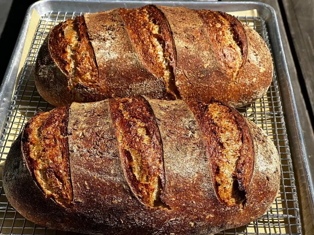 my rye bread baking experience v0 8am4v3gyu7bd1