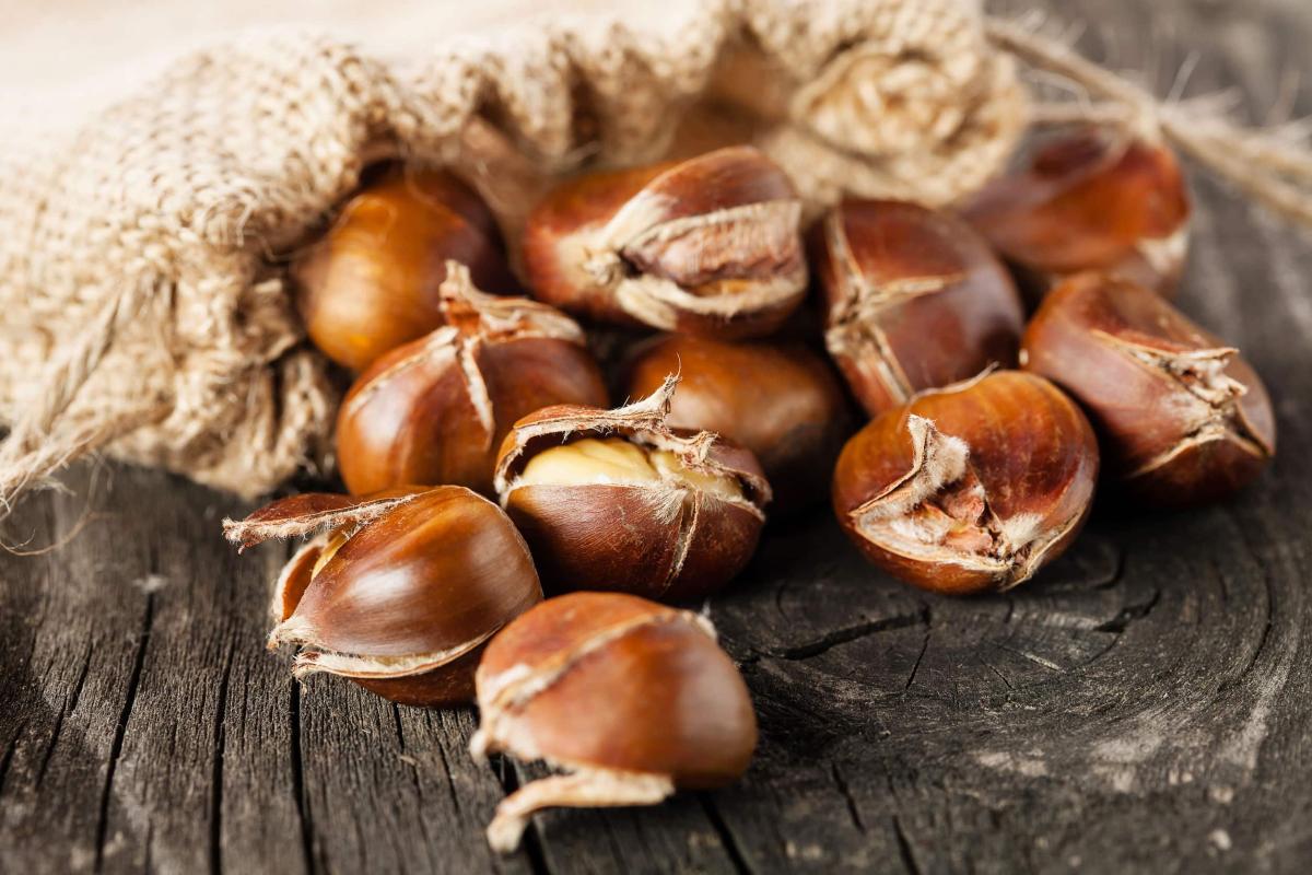 019c648febea40329693fbd68023b9b5