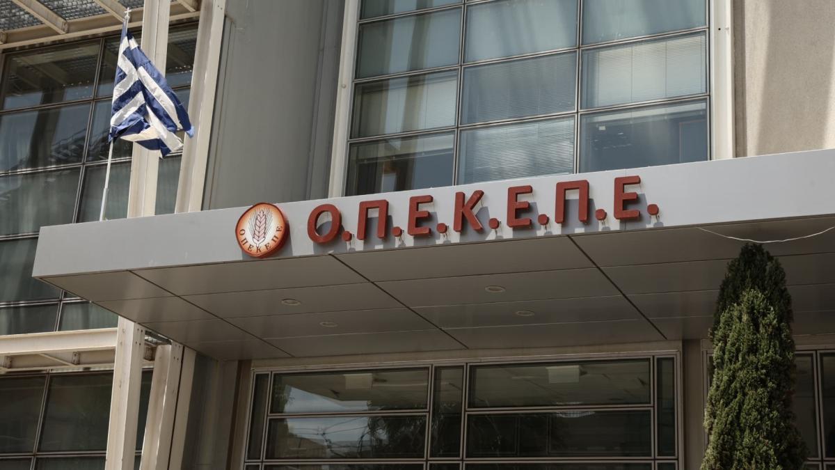 opekepe 4