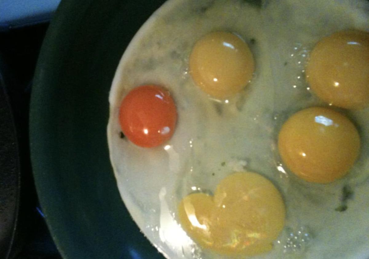 stigmiotypo othonis 2025 03 29 16.49.29