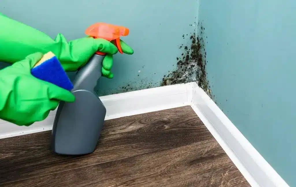 Aν οι τοίχοι σας μαυρίζουν σε μια γωνία, δεν είναι τυχαίο: Mάθετε τι σημαίνει πραγματικά και πώς να το διορθώσετε 3 pulverisateur et gants nettoient