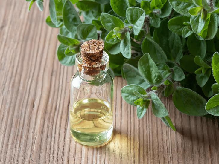 494820739 2642151499322989 3667768399385515556 n