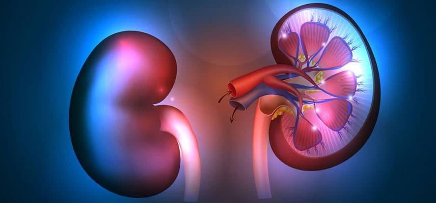 nefriki aneparkeia medium