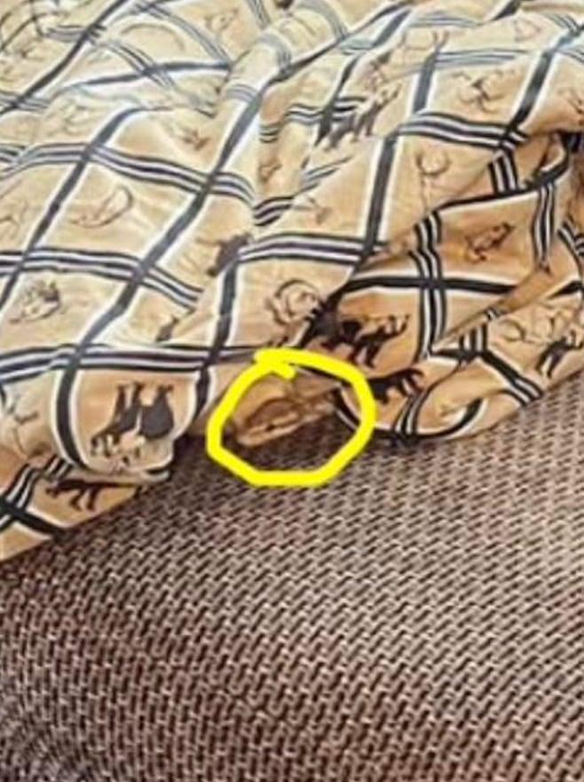 stigmiotypo othonis 2025 12 21 01.56.12