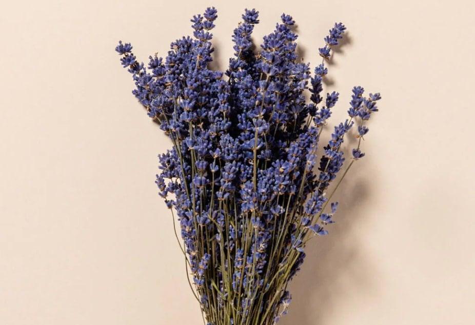 Κάψτε stigmiotypo