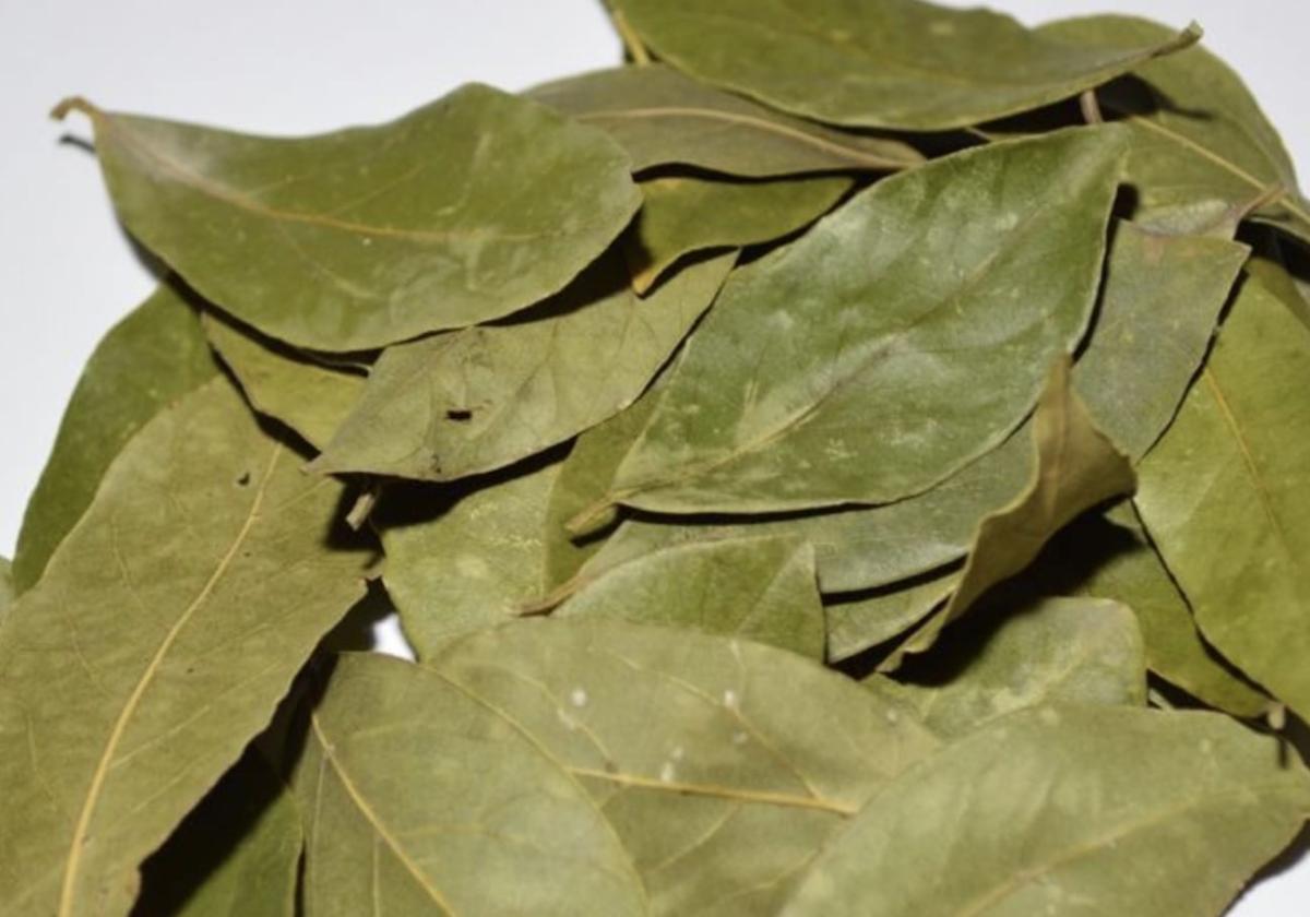 Κάψτε stigmiotypo