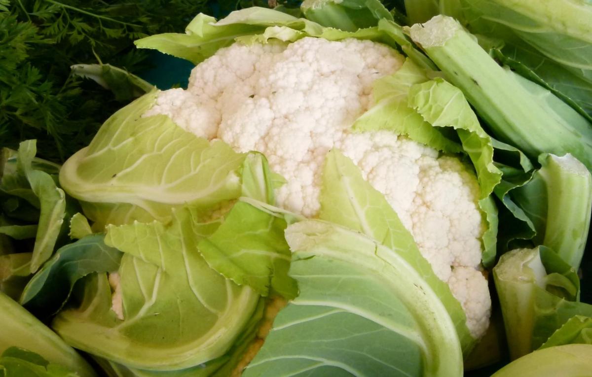 stigmiotypo othonis 2025 11 04 01.09.45