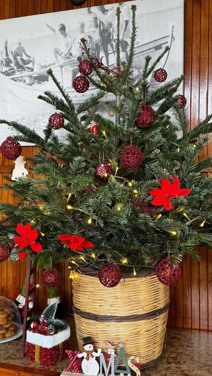 danai barka kalamata 7