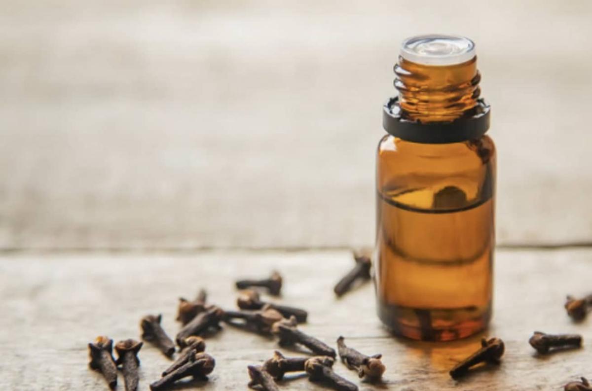 stigmiotypo othonis 2025 08 11 20.54.37