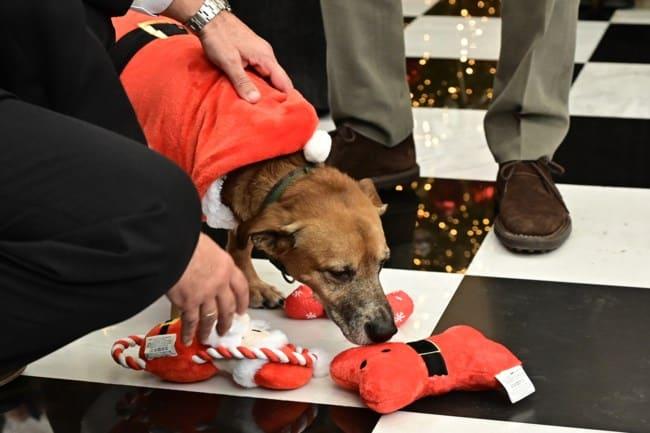 b2e1f0e6df8a49d9bd1403ad847a517f