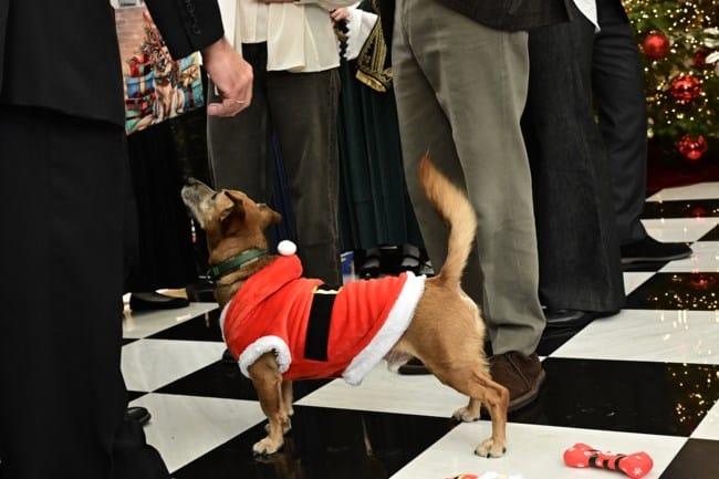 0bc517d380df4ff8a5fd9b153d7bdc3e