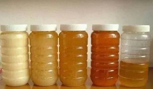 mat ong 3 ngoisaovn w526 h306